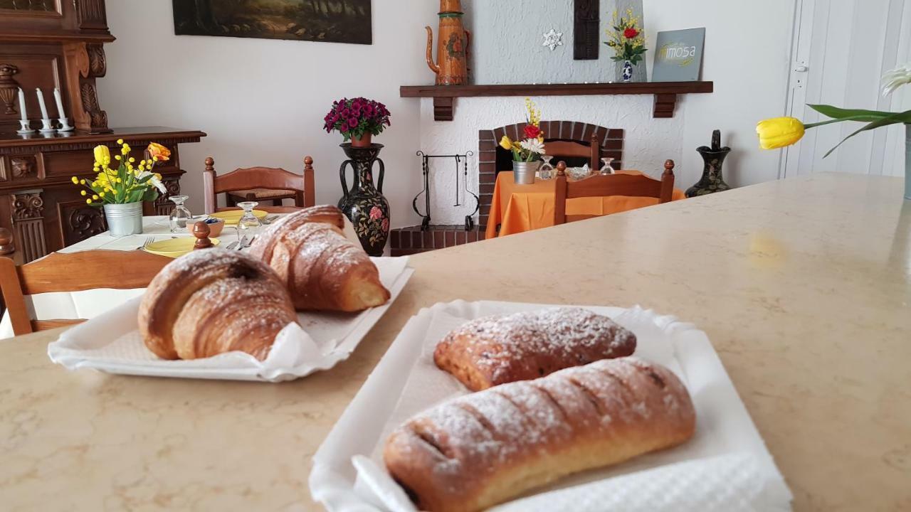 B&B Mimosa จีอาร์ดีนี นักซอส ภายนอก รูปภาพ